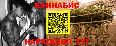 стаф Камышлов