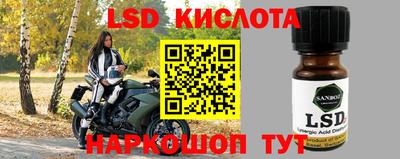 стаф Камышлов