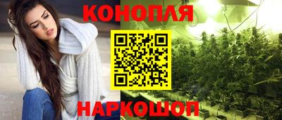 стаф Камышлов